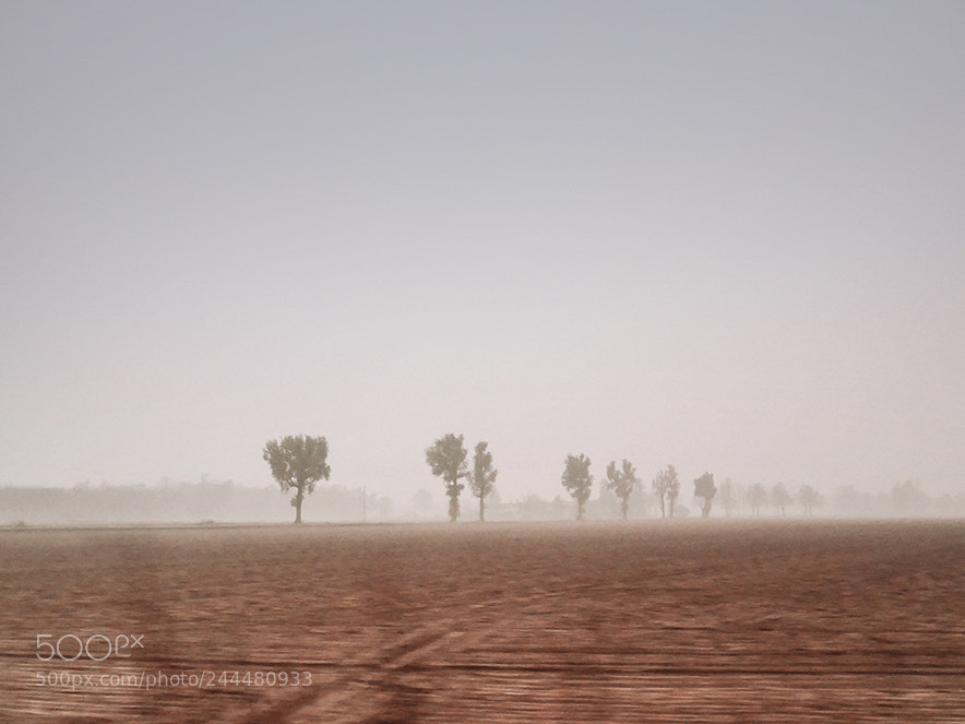 Panasonic Lumix DMC-GX85 (Lumix DMC-GX80 / Lumix DMC-GX7 Mark II) sample photo. Drivin' thru the fog. photography