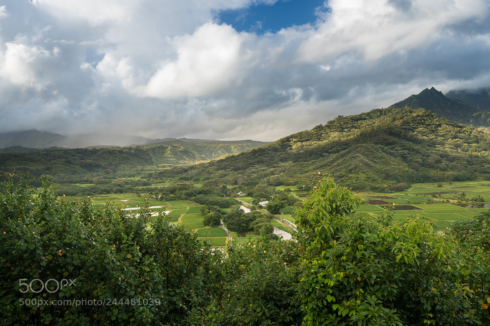 Sony a7R II sample photo. Hanalei valley from princeville photography