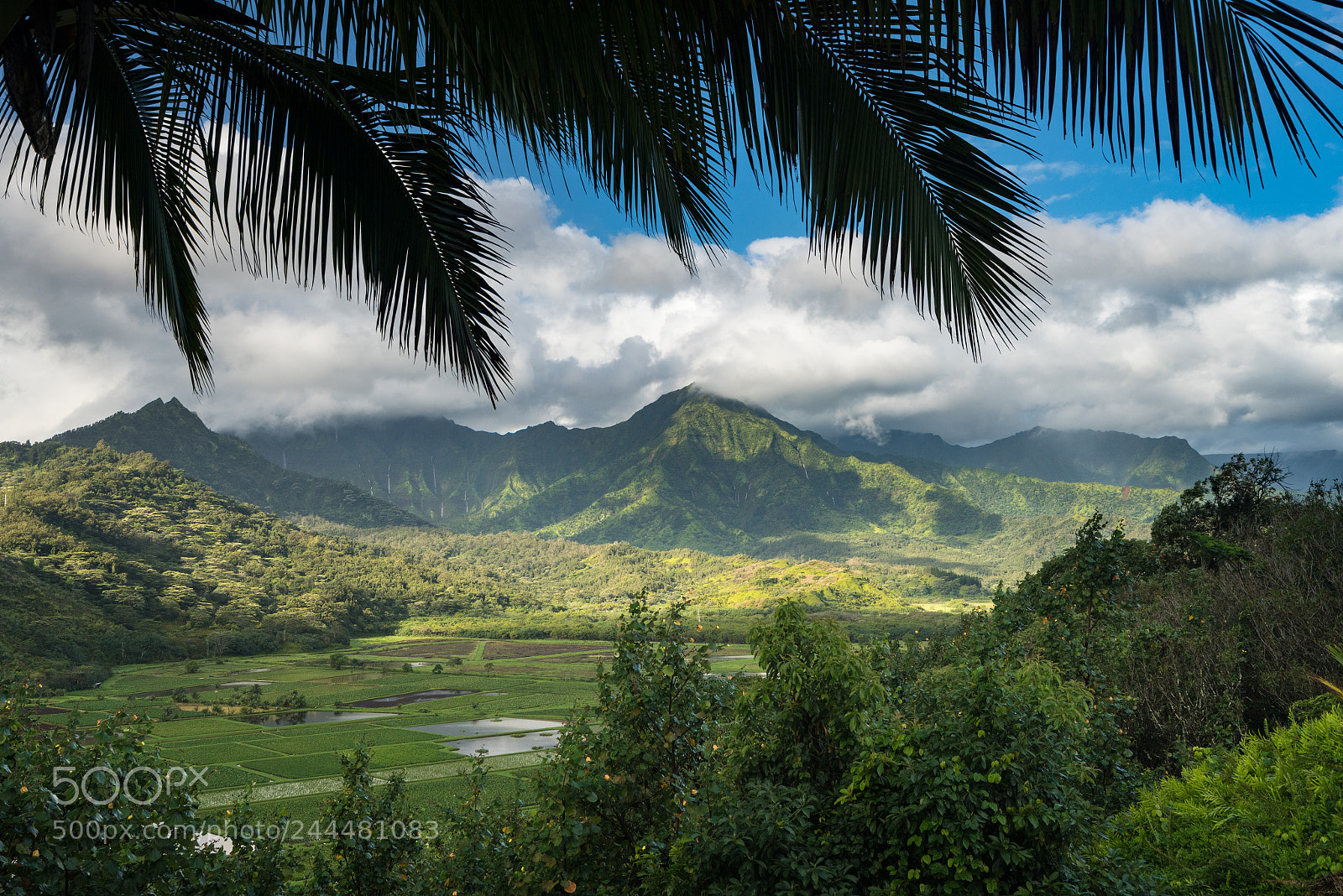 Sony a7R II sample photo. Hanalei valley from princeville photography