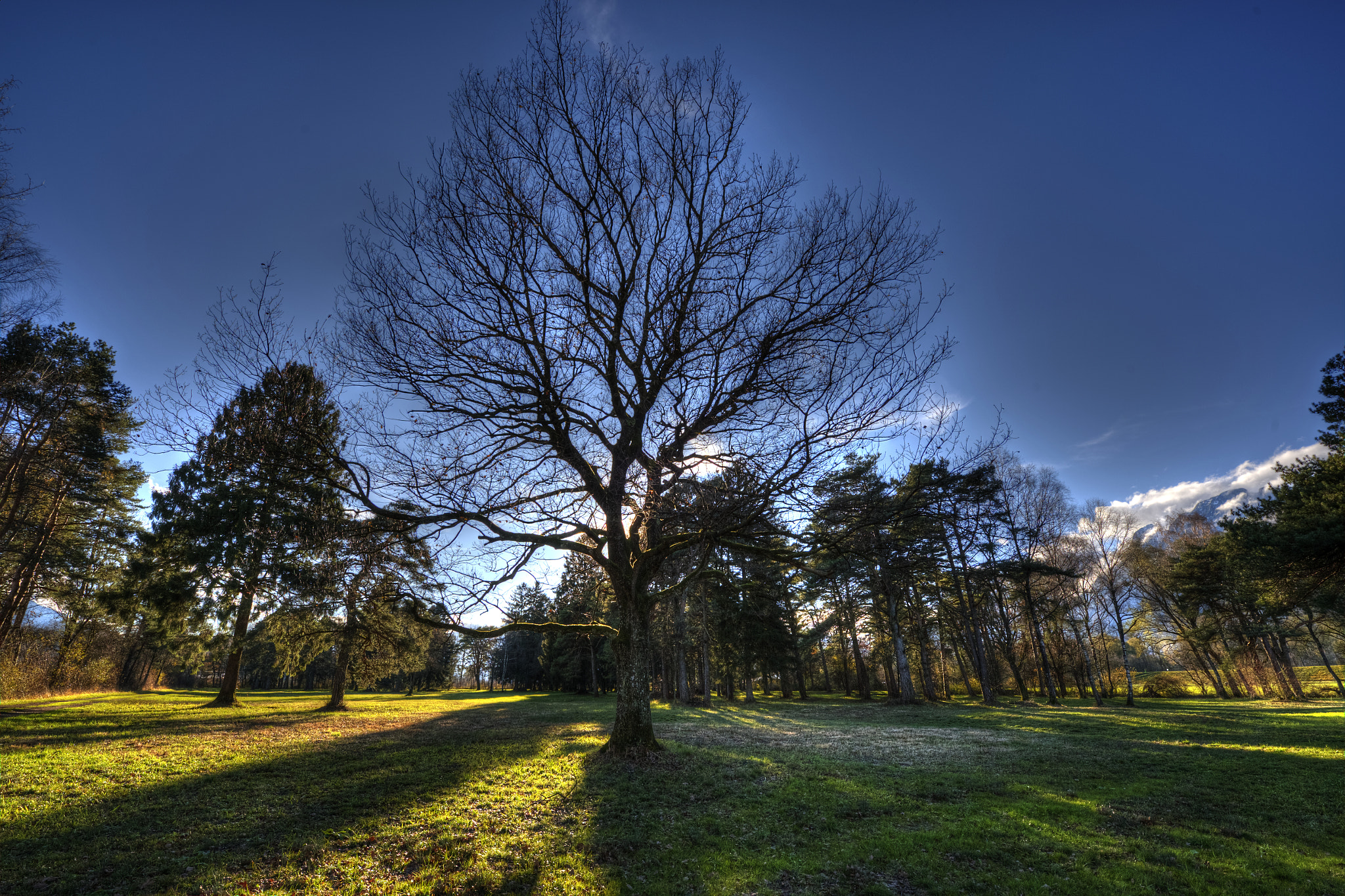 Nikon AF-S Nikkor 14-24mm F2.8G ED sample photo. Ruggeller riet photography
