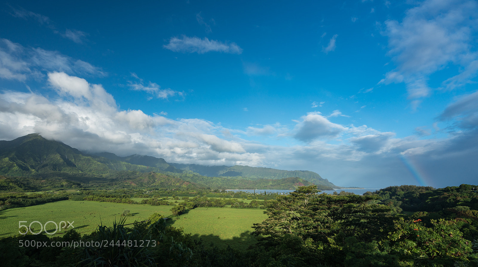 Sony a7R II sample photo. View of hanalei after photography