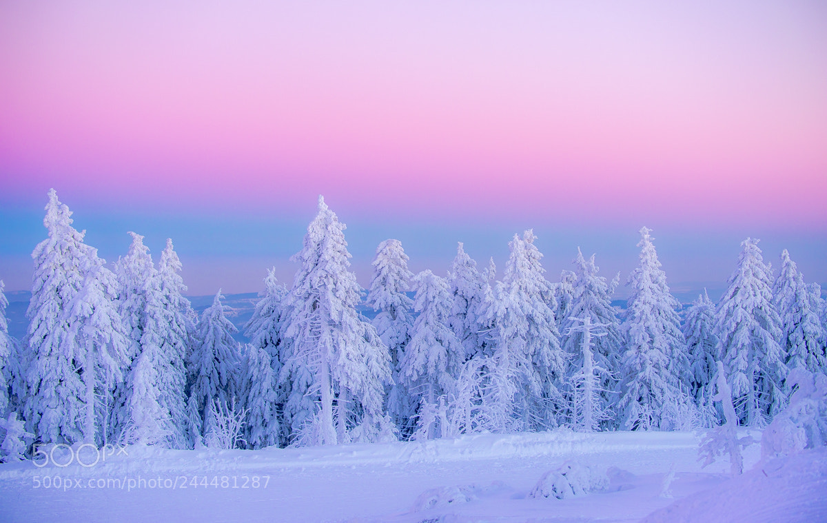 Nikon D4 sample photo. Cold sunset. photography