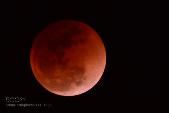 Nikon D7100 sample photo. Lunar eclipse tonight in photography