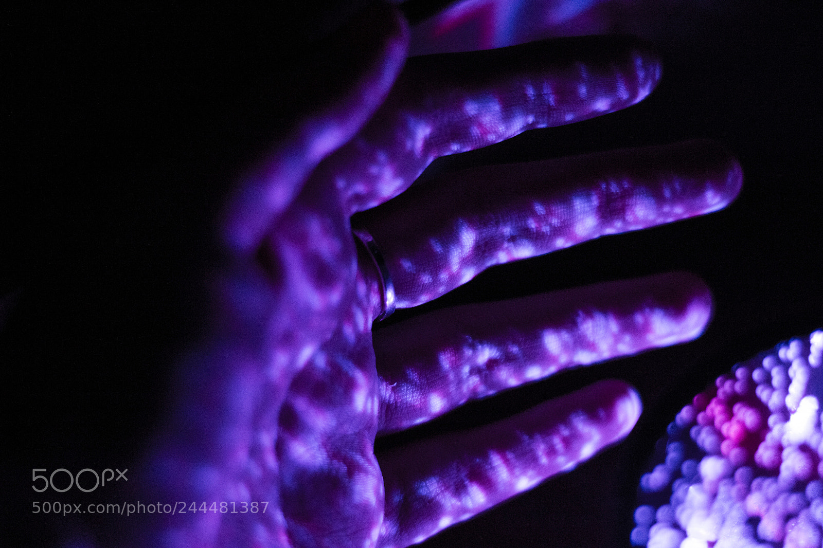 Canon EOS 750D (EOS Rebel T6i / EOS Kiss X8i) sample photo. Neon life photography
