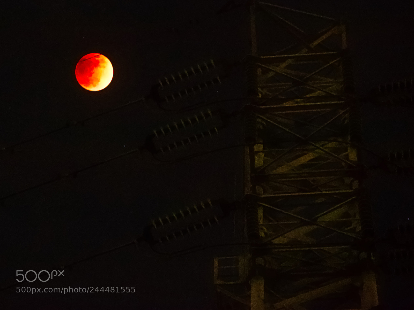 Olympus OM-D E-M1 sample photo. Super blue blood moon photography