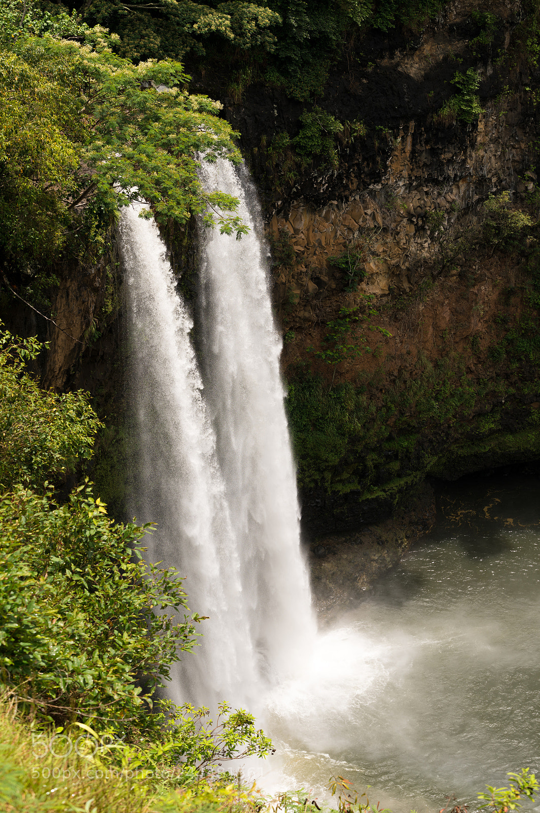 Sony a7R II sample photo. Wailua falls in hawaiian photography