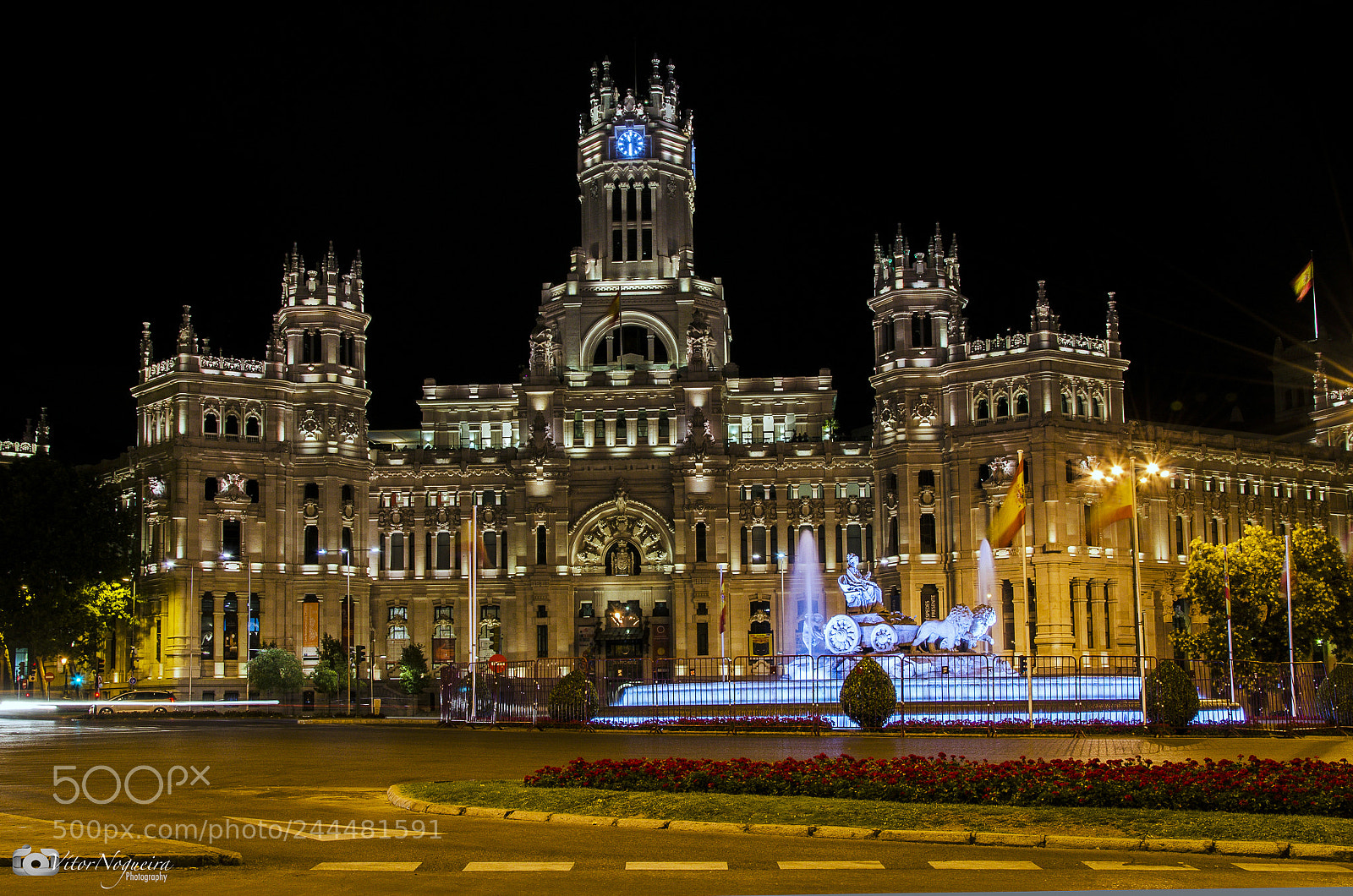 Nikon D5100 sample photo. Cibeles net photography