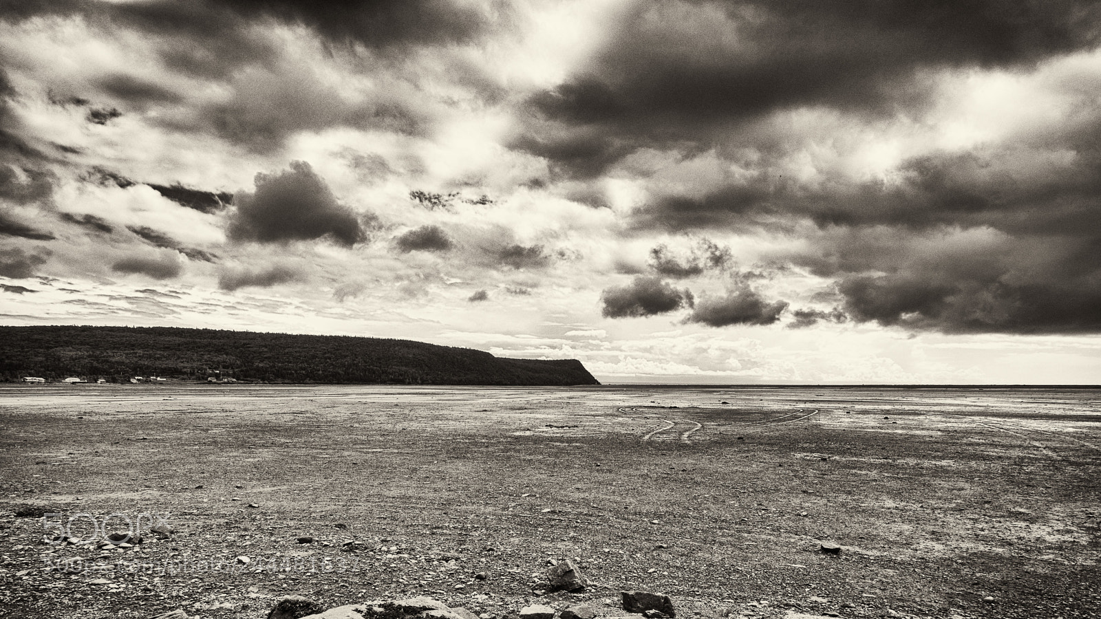 Olympus OM-D E-M5 sample photo. Tide's out photography