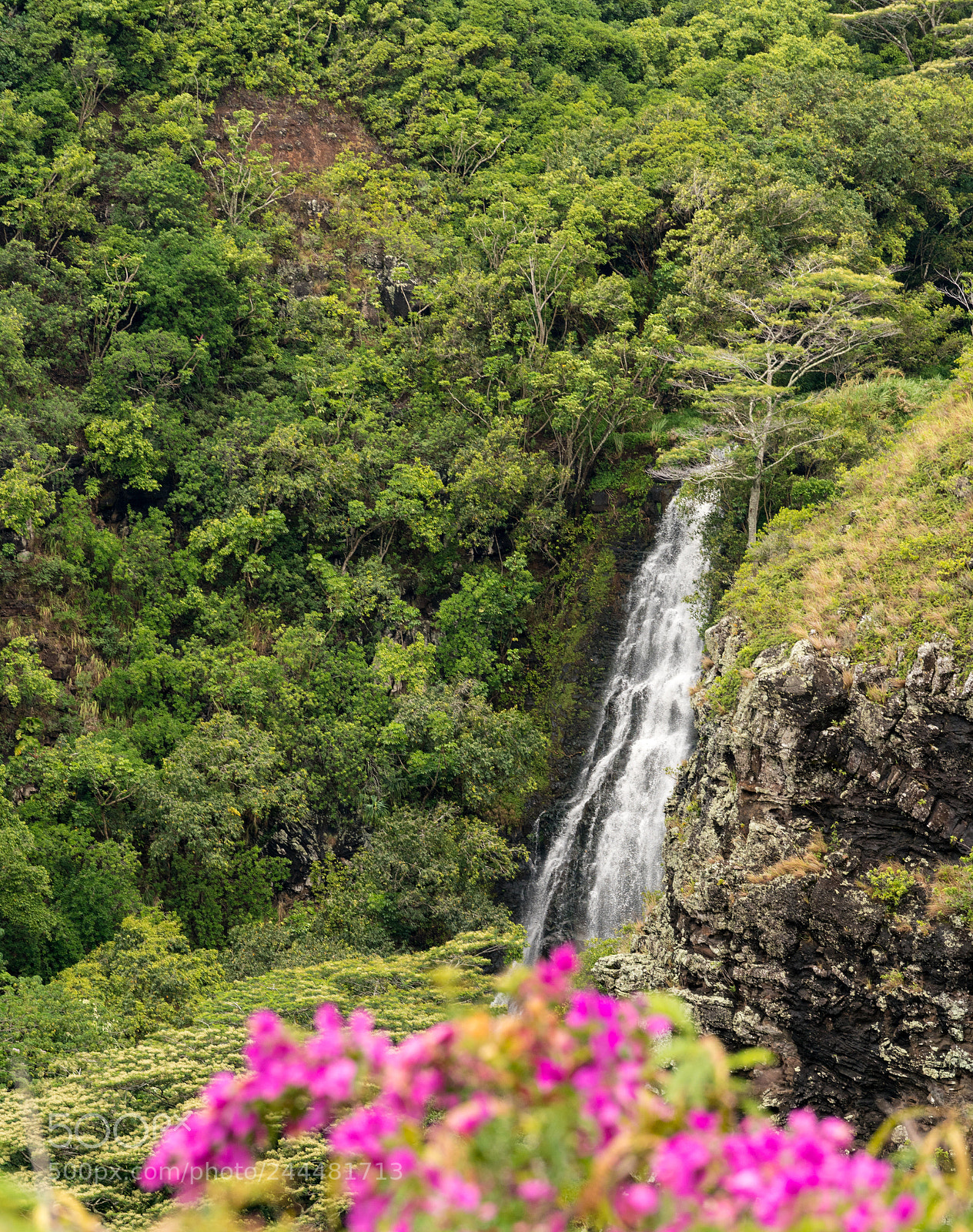 Sony a7R II sample photo. Opaekaa falls in hawaiian photography