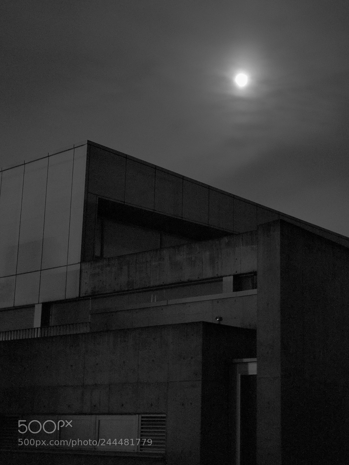 Fujifilm X-Pro1 sample photo. The library photography