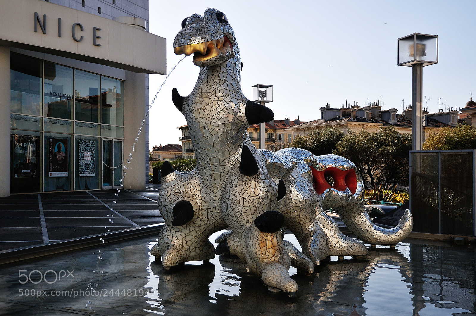 Nikon D300S sample photo. Dragon by niki de photography