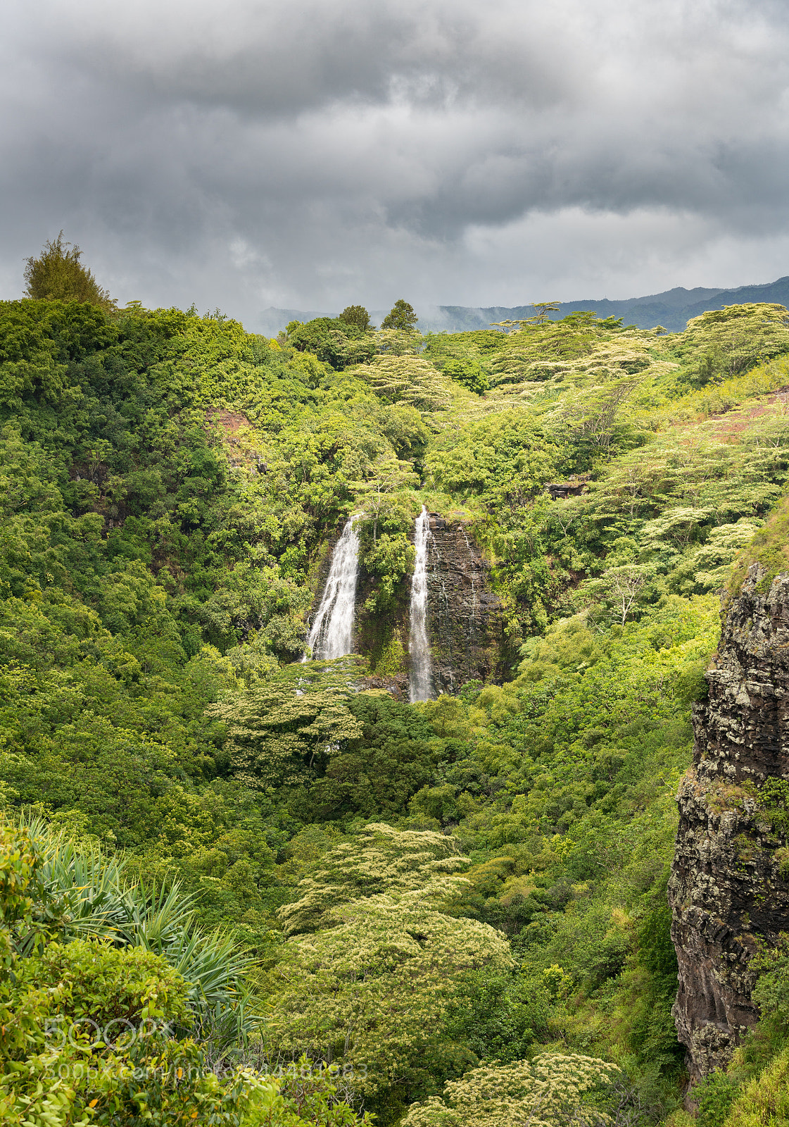Sony a7R II sample photo. Opaekaa falls in hawaiian photography
