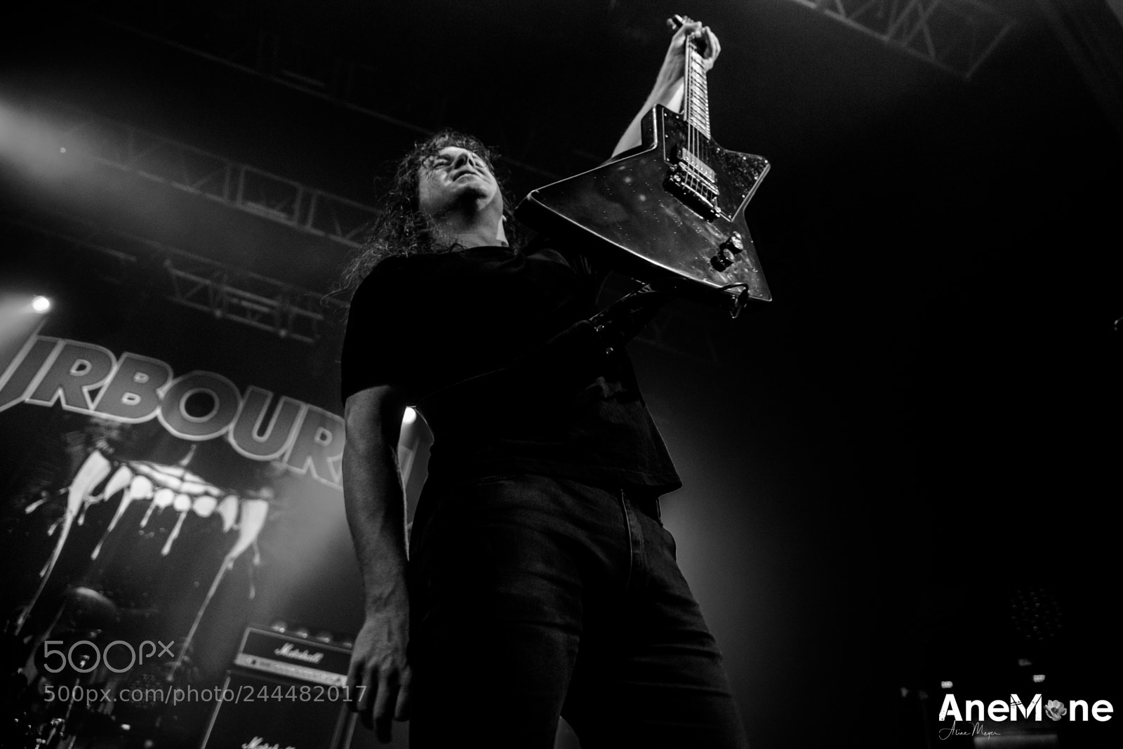 Canon EOS-1D X sample photo. Airbourne photography