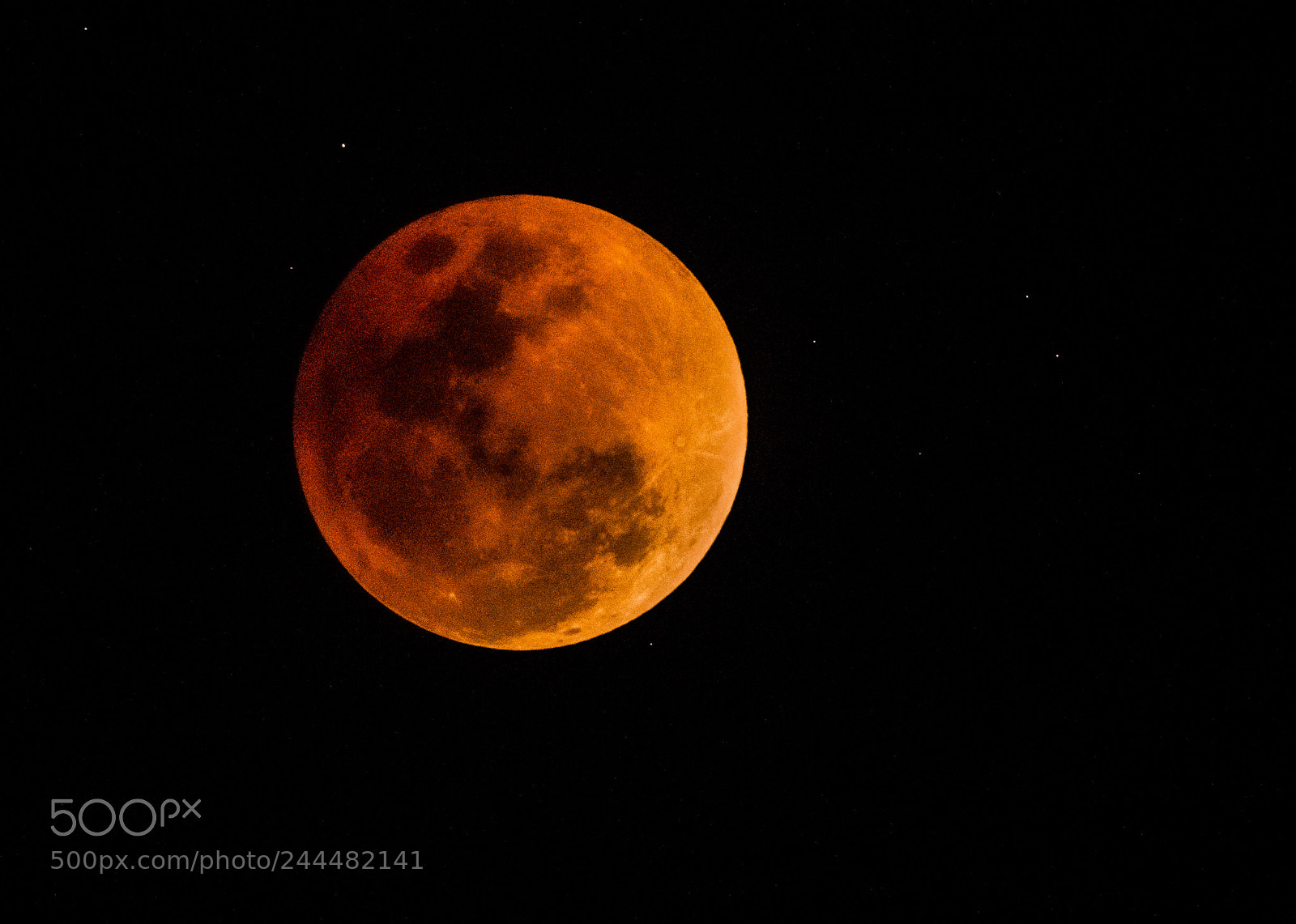 Canon EOS-1D X Mark II sample photo. Blood moon, blue moon photography