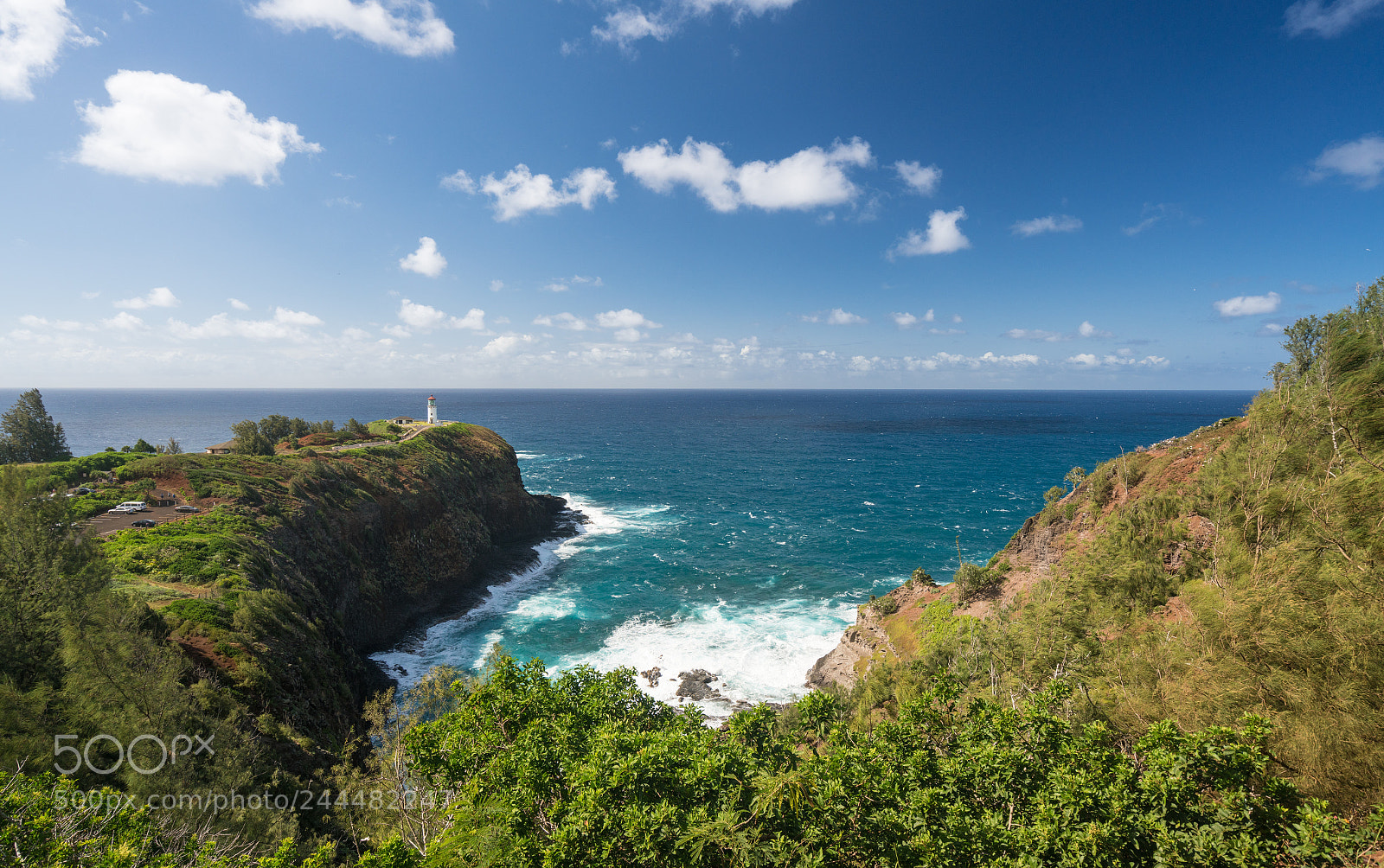 Sony a7R II sample photo. Bird sanctuary at kilauea photography