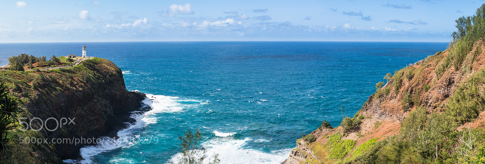 Sony a7R II sample photo. Bird sanctuary at kilauea photography