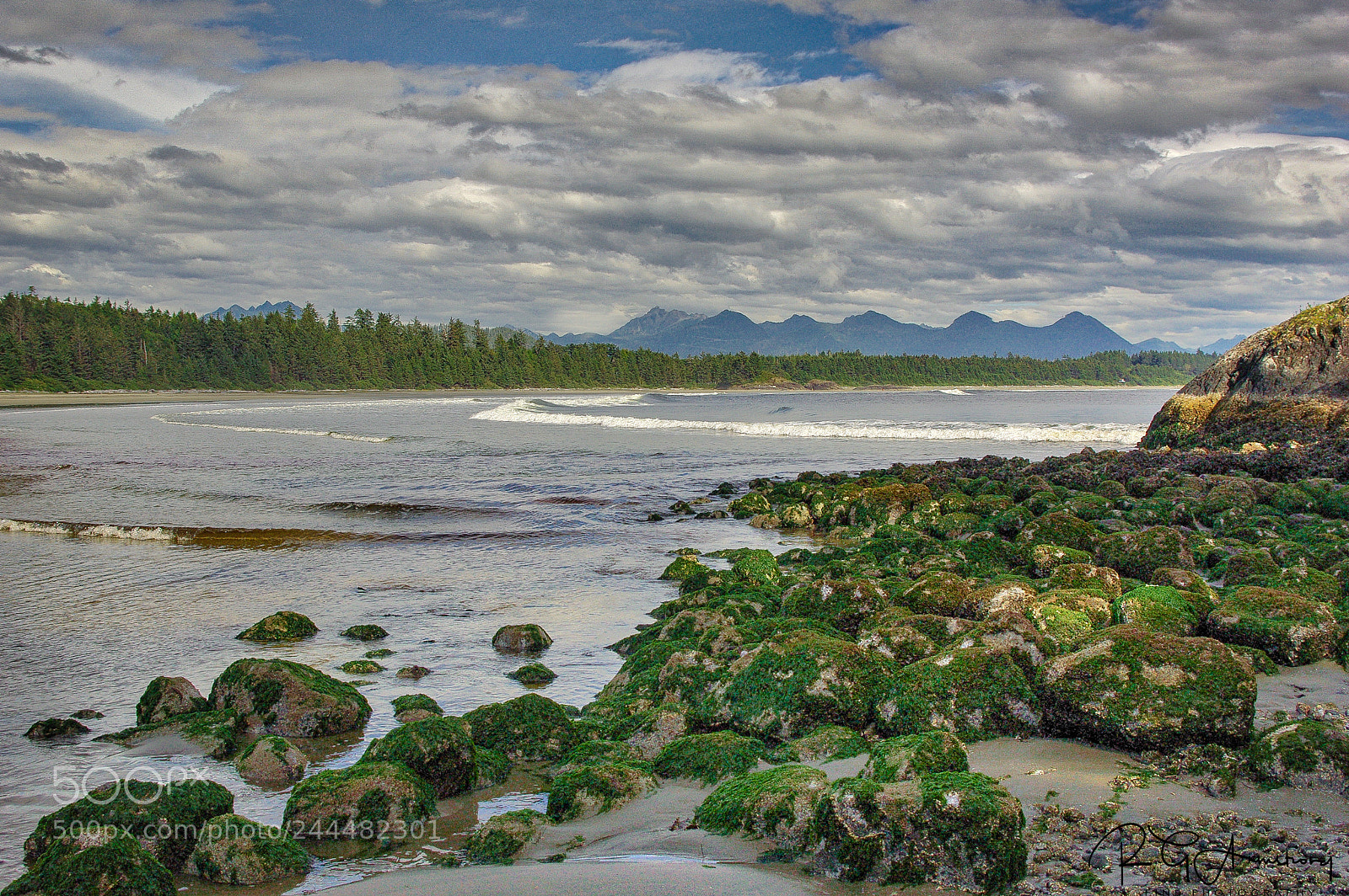 Pentax K200D sample photo. Tideline photography