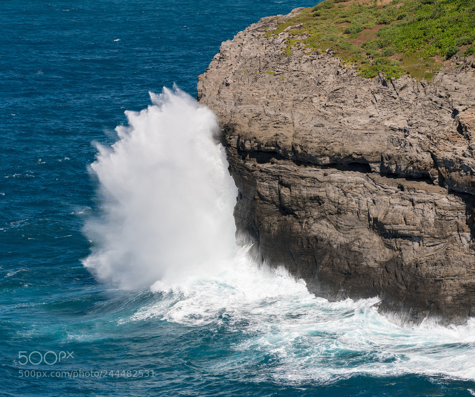 Sony a7R II sample photo. Bird sanctuary at kilauea photography