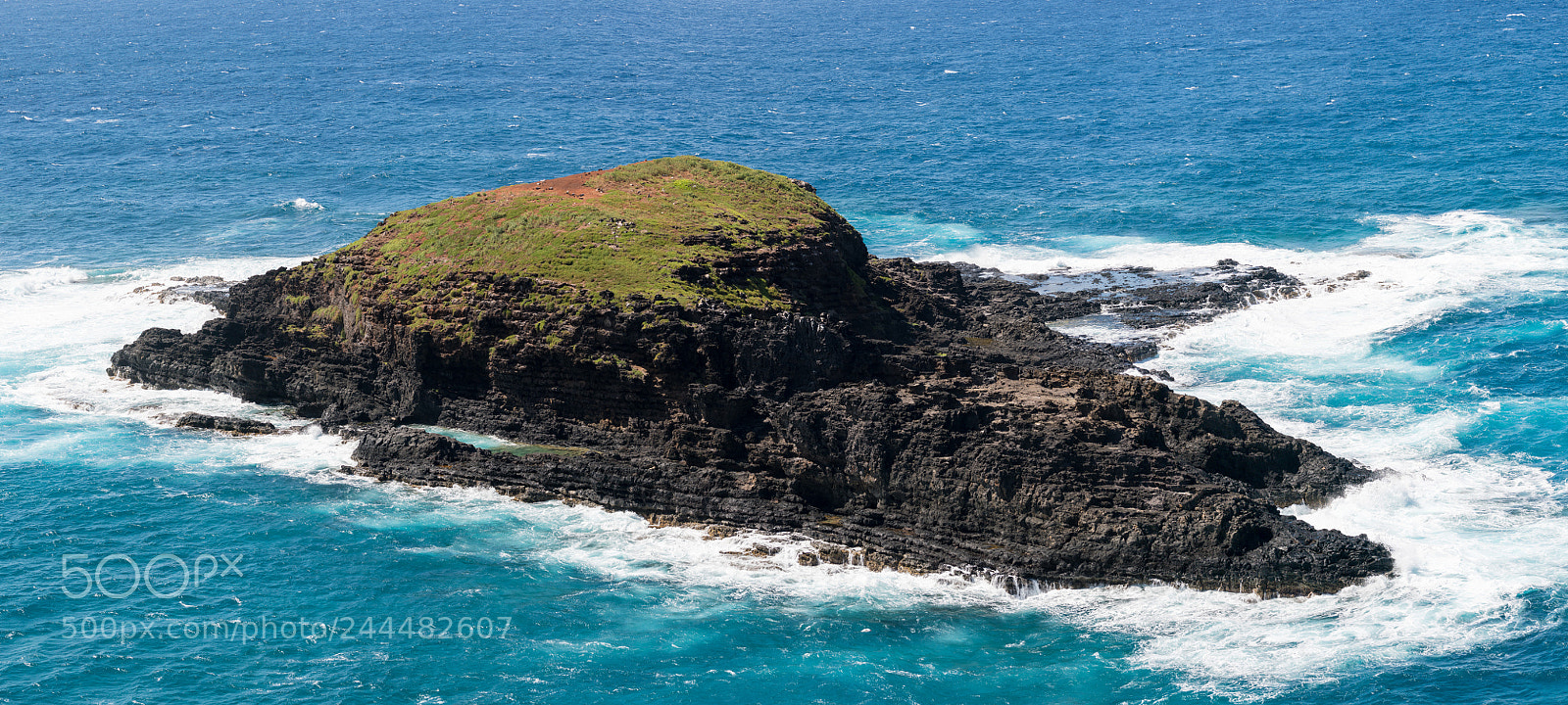Sony a7R II sample photo. Bird sanctuary at kilauea photography