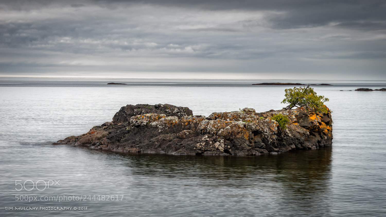 Sony a7 II sample photo. Lichen rock photography