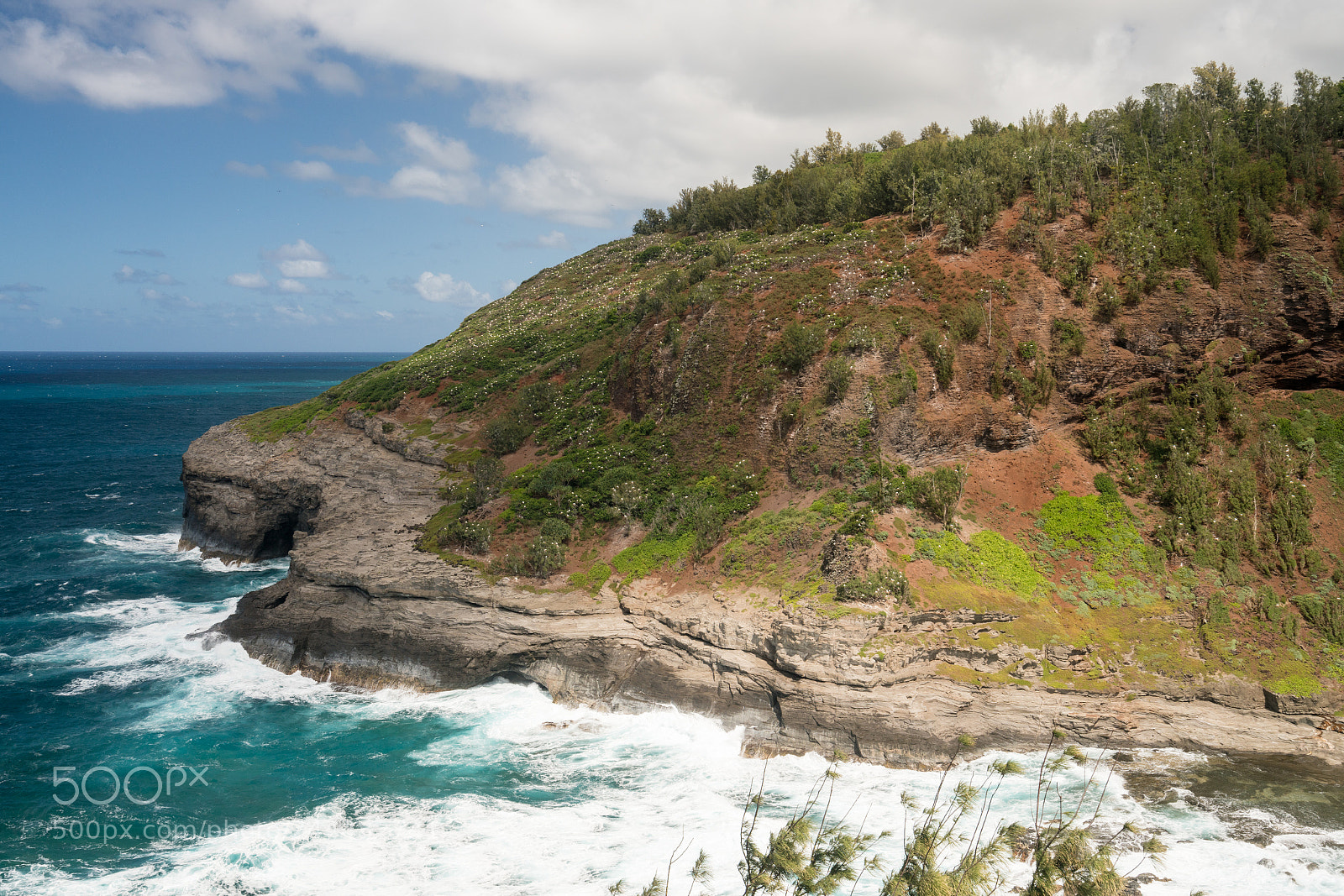 Sony a7R II sample photo. Bird sanctuary at kilauea photography