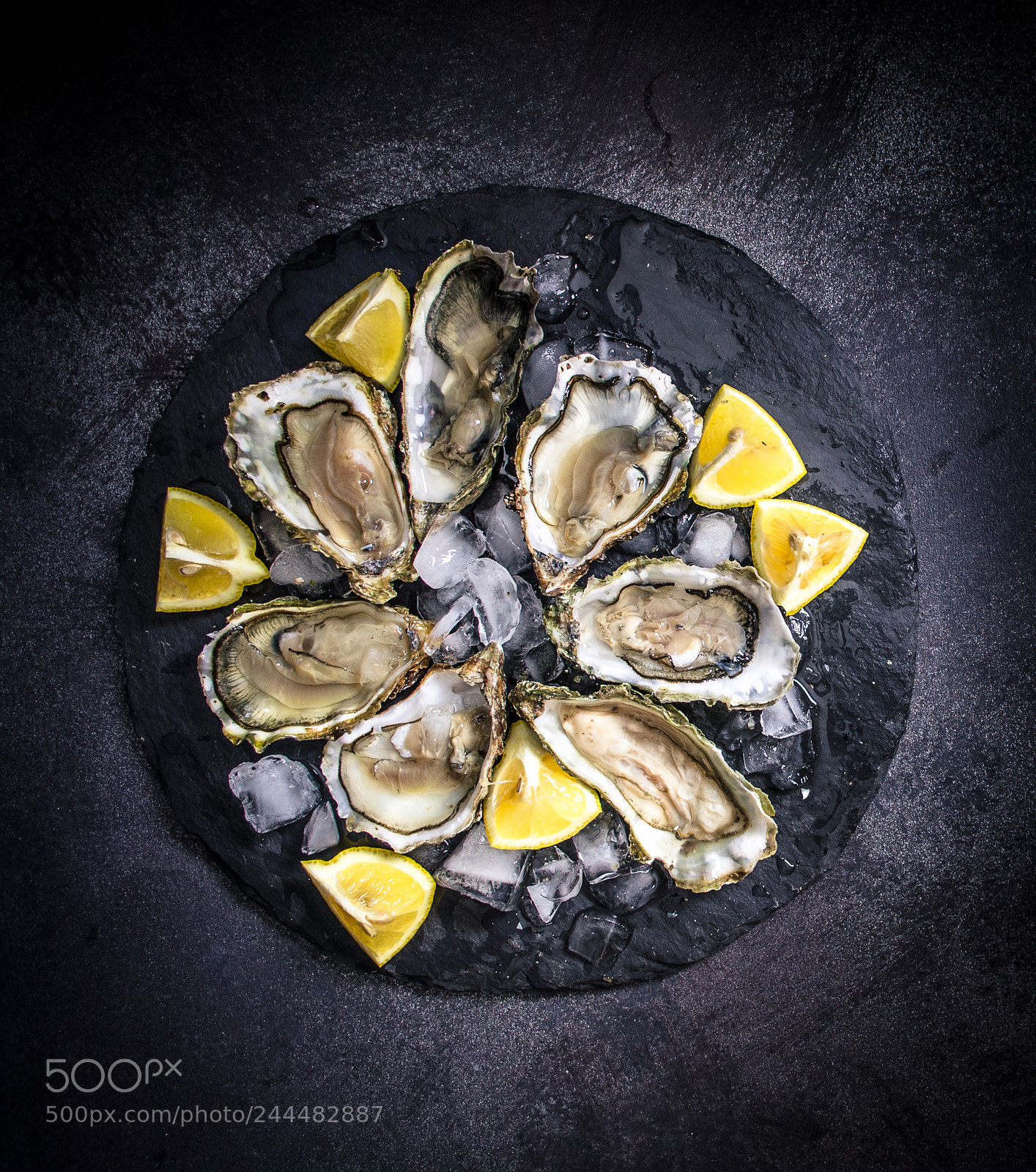 Nikon D5100 sample photo. Fresh oysters photography
