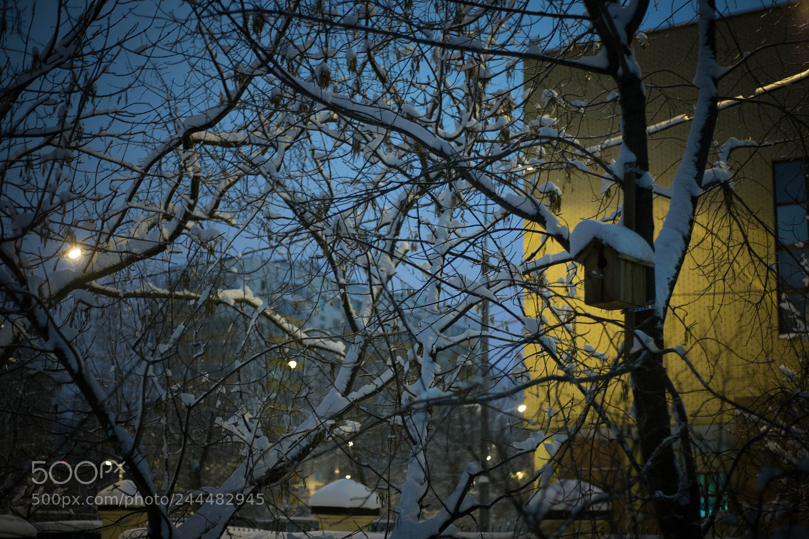 Canon EOS 6D sample photo. Winter in moscow photography