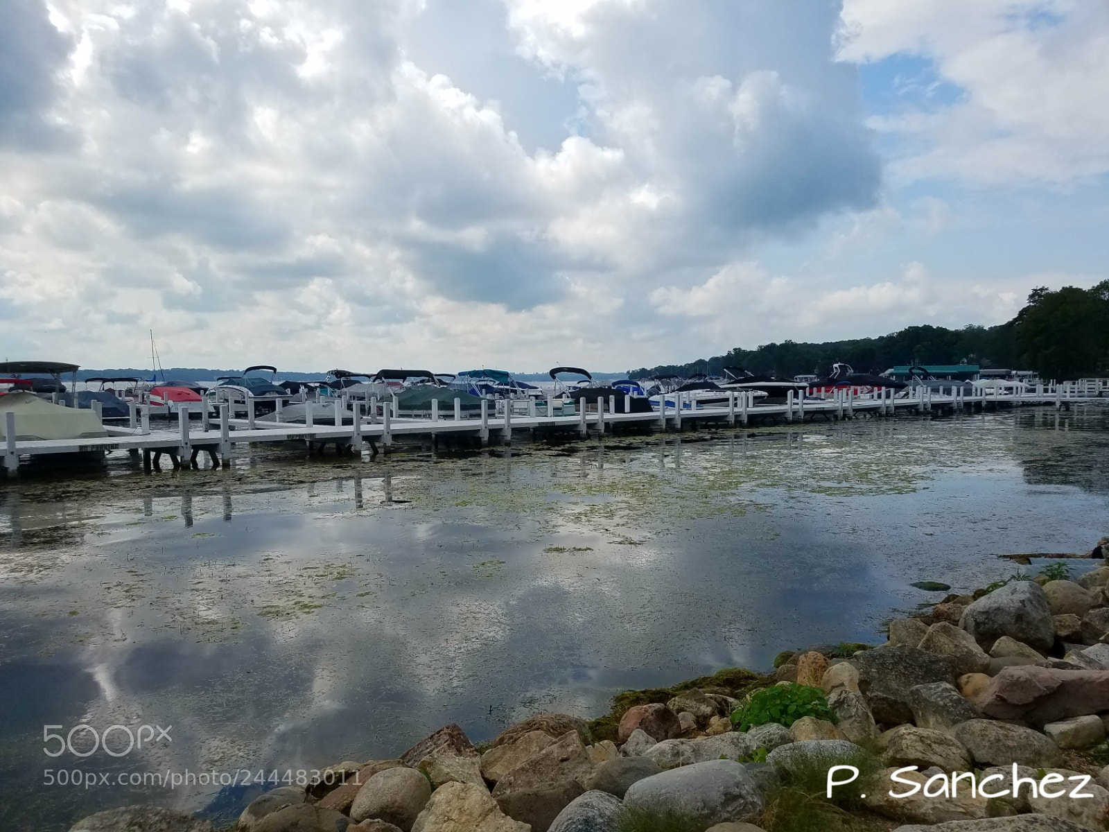 Samsung Galaxy S7 sample photo. Untitled photography