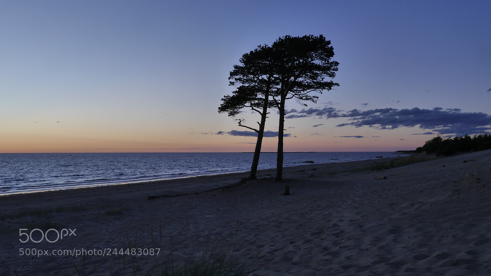 Panasonic Lumix DMC-G6 sample photo. Night beach photography
