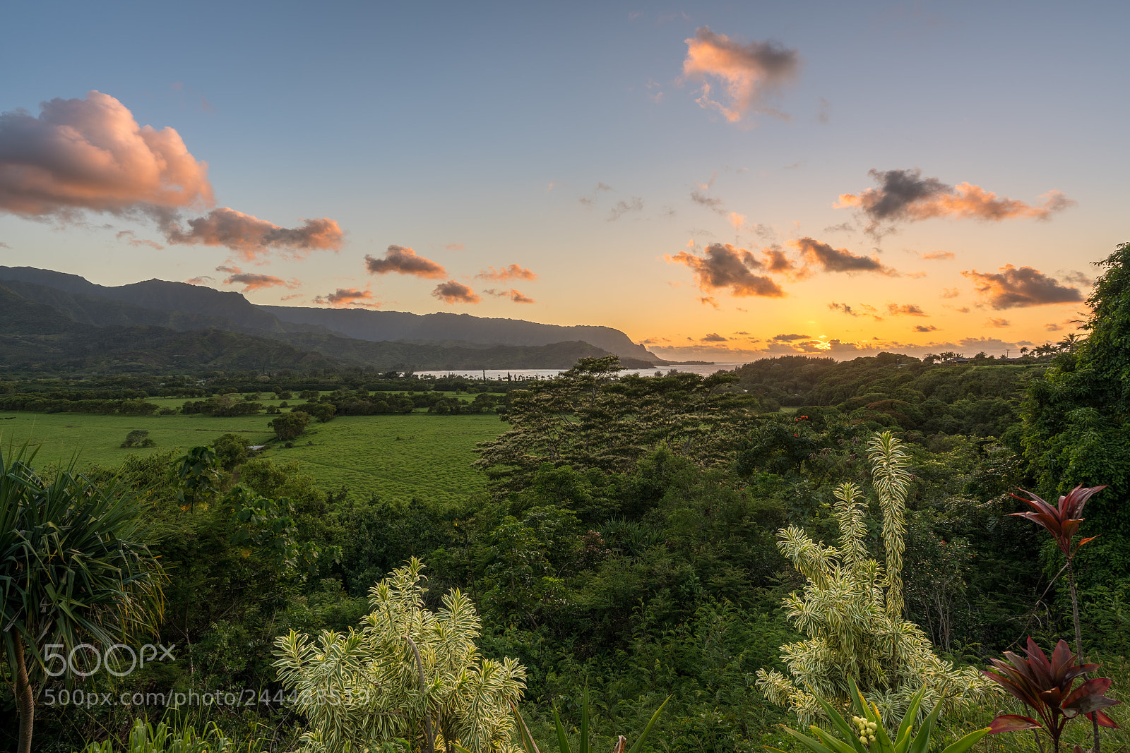 Sony a7R II sample photo. View of hanalei at photography