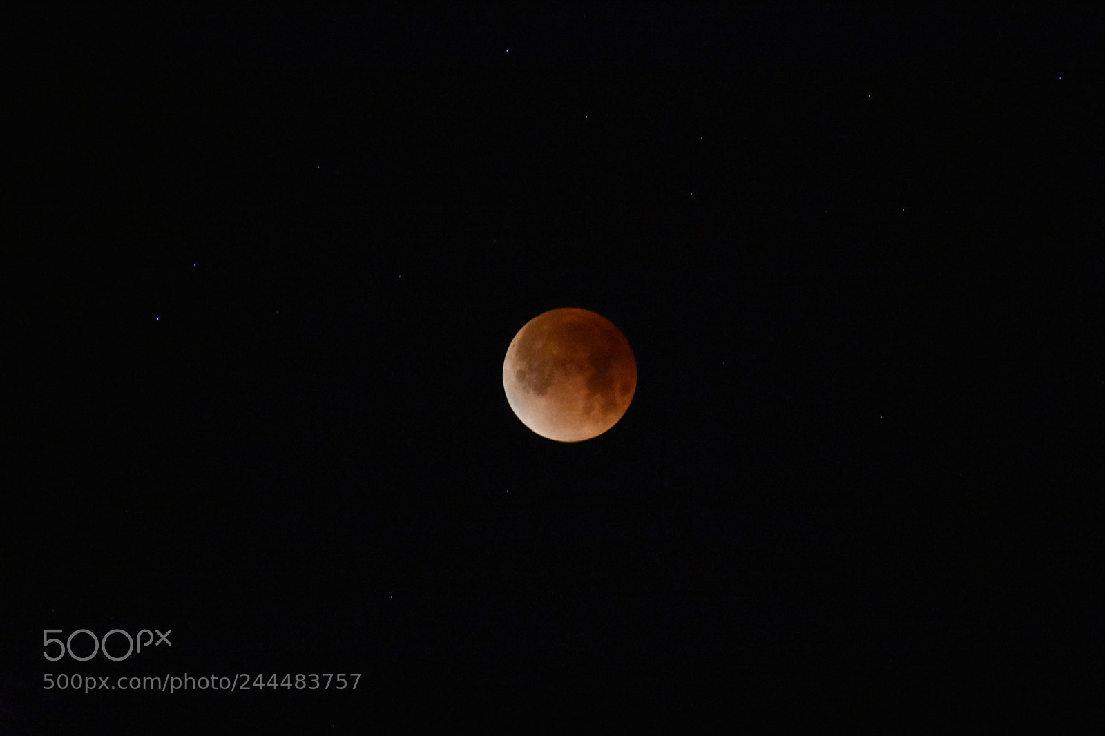Nikon D3400 sample photo. Redmoon photography