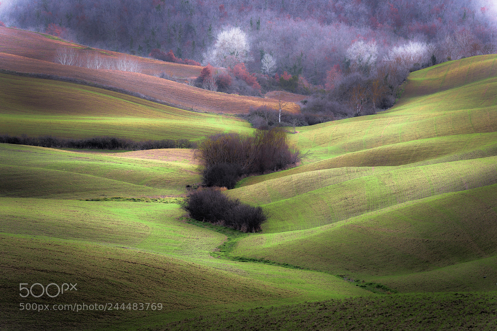 Nikon D810 sample photo. In the valley photography