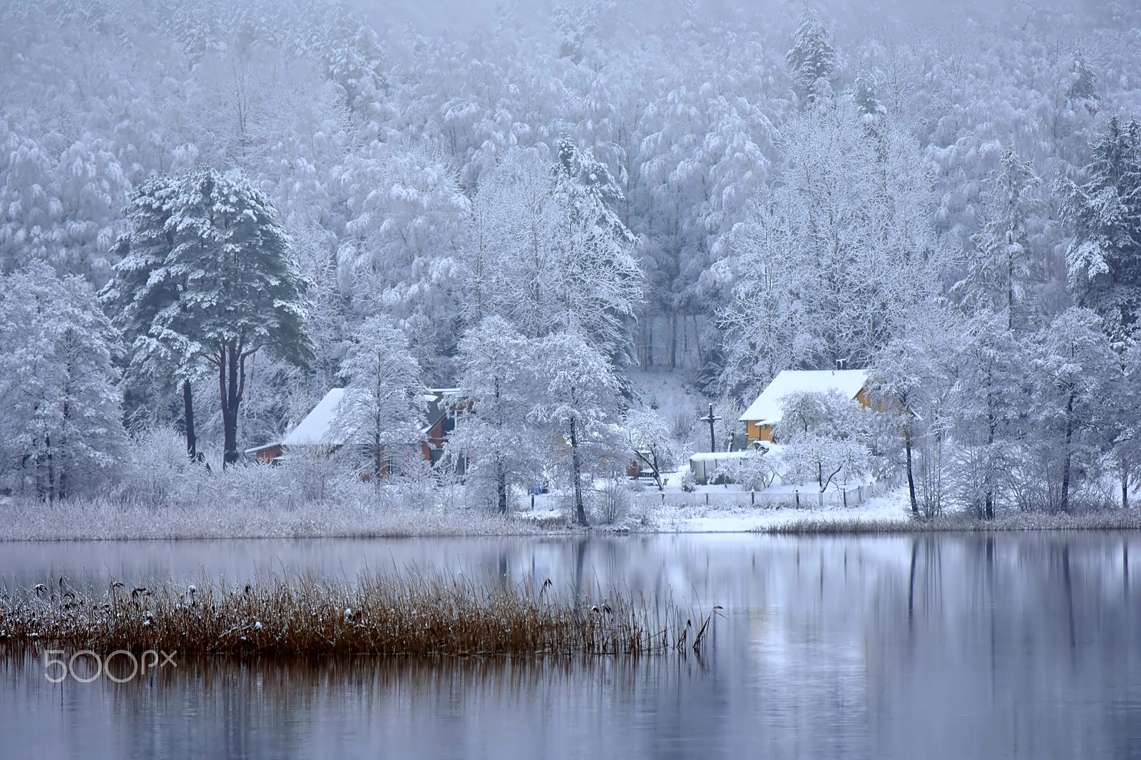Nikon D3400 sample photo. Wintertime photography