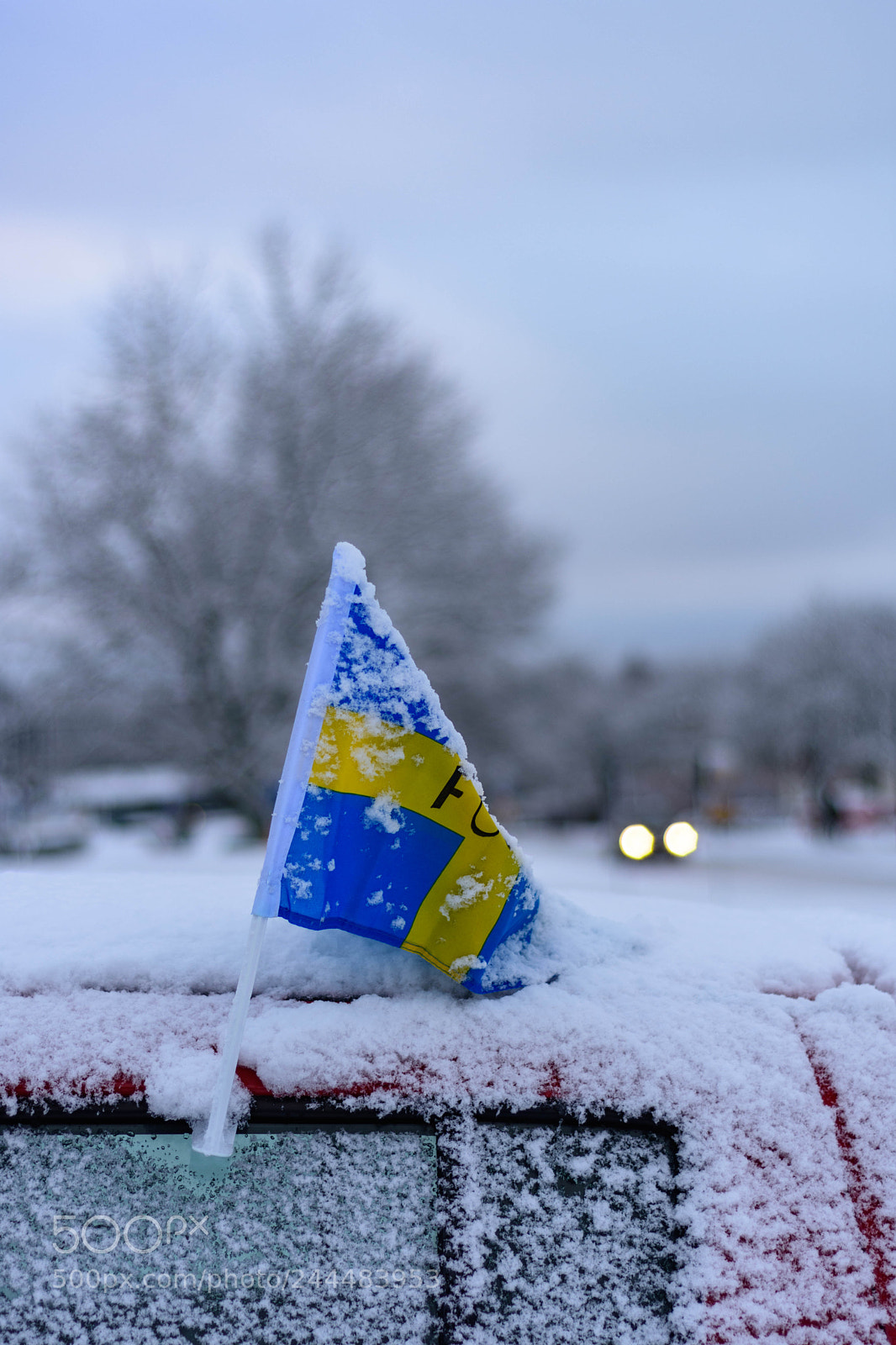 Nikon D7200 sample photo. Vinter photography