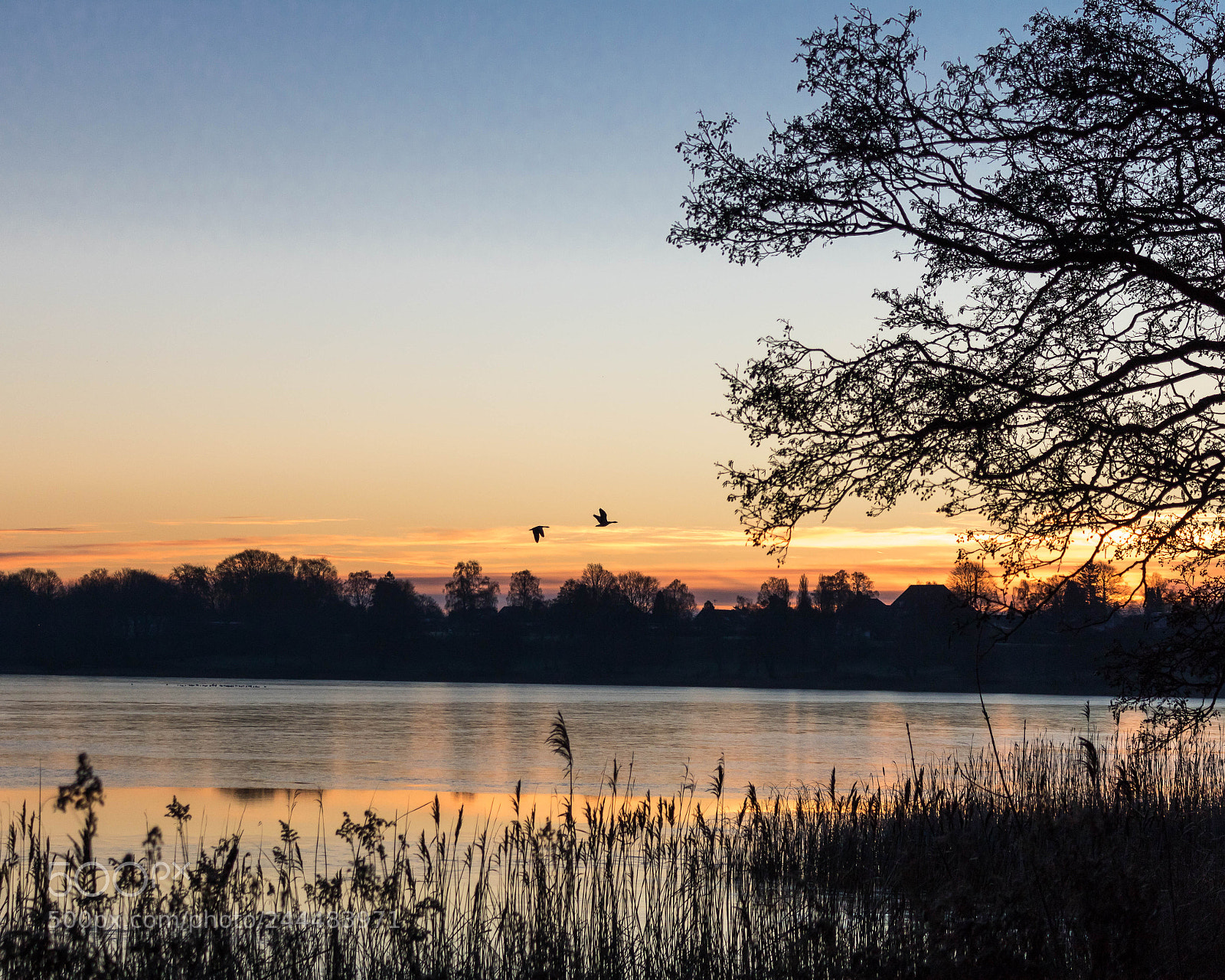 Canon EOS 750D (EOS Rebel T6i / EOS Kiss X8i) sample photo. Morning flight photography