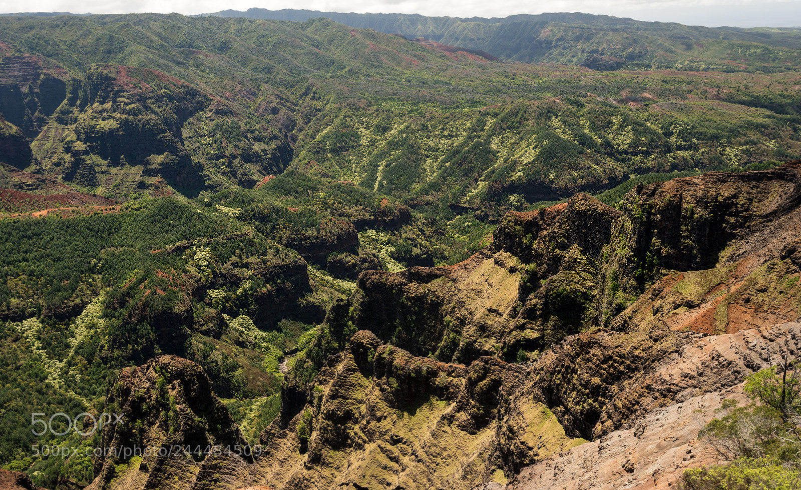 Sony a7R II sample photo. Waimea canyon on kauai photography