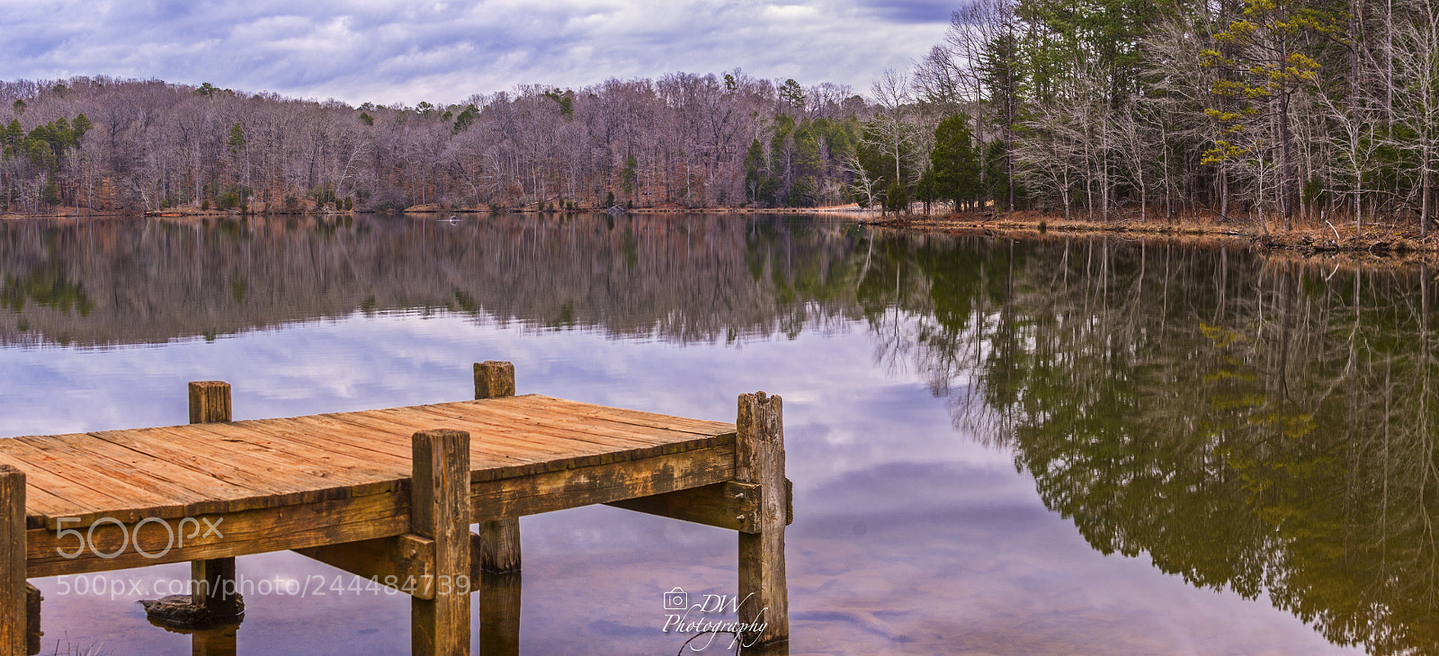 Nikon D500 sample photo. A cloudy winter morning photography