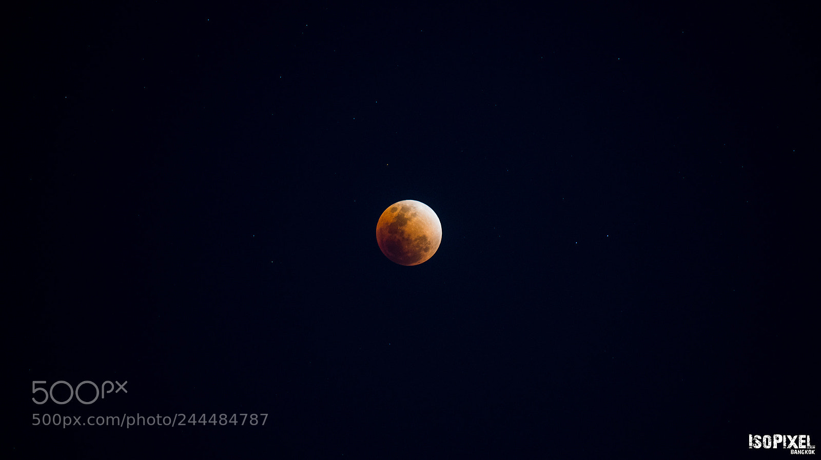 Nikon D800 sample photo. Super blue blood moon photography
