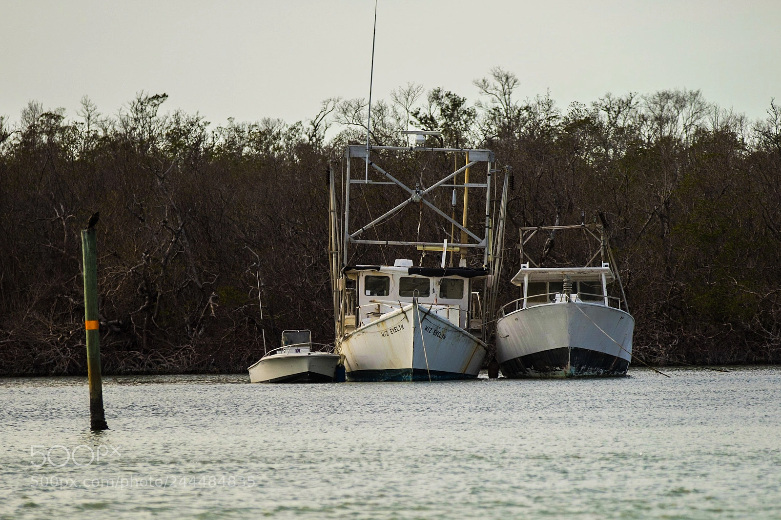 Canon EOS 7D Mark II sample photo. After the storm photography
