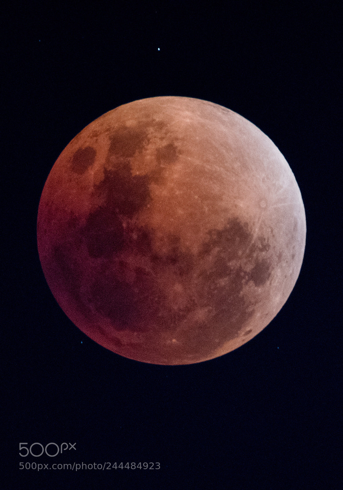 Nikon D500 sample photo. Super blue blood moon. photography