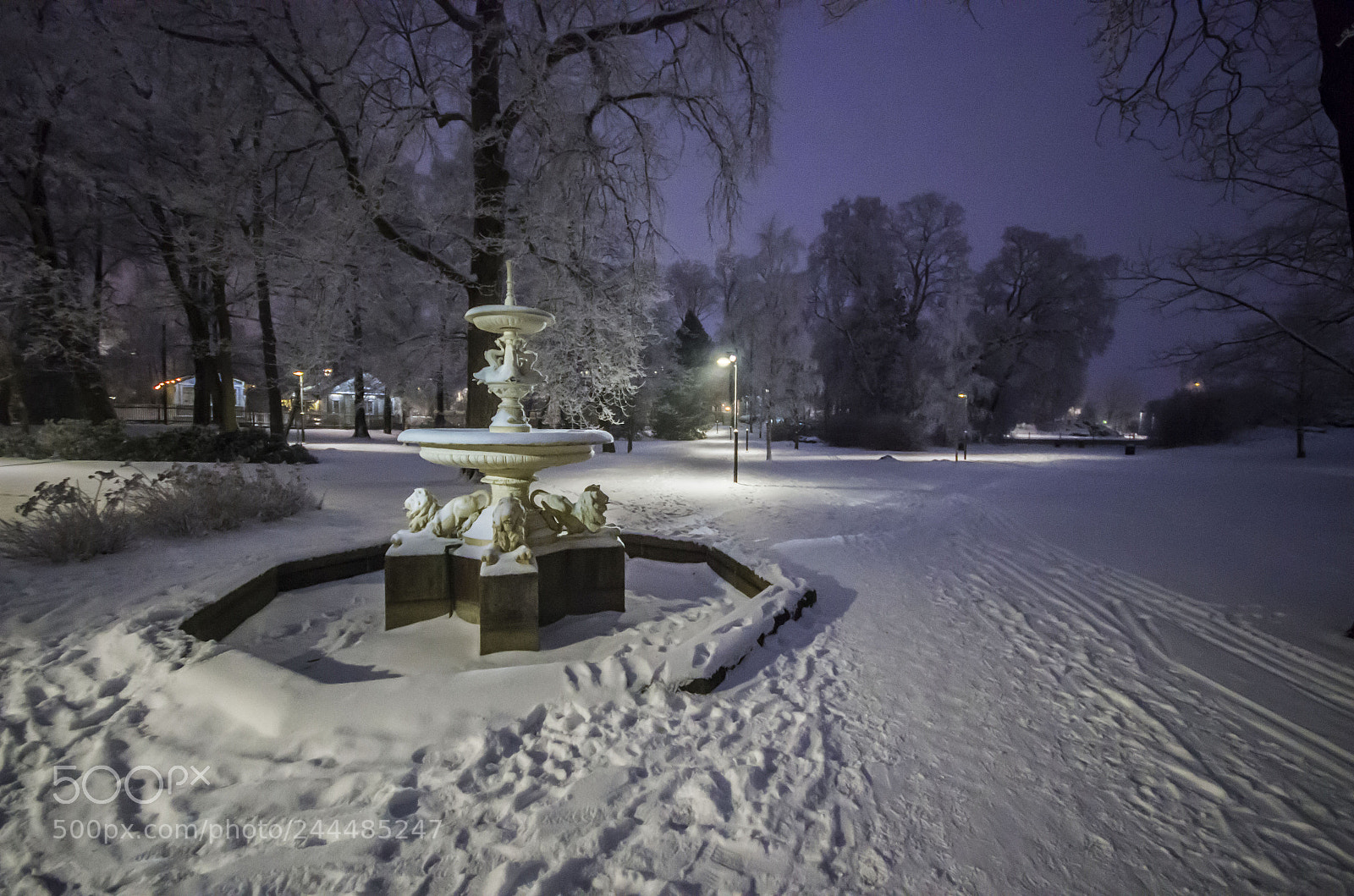 Pentax K-5 sample photo. Park in the night photography