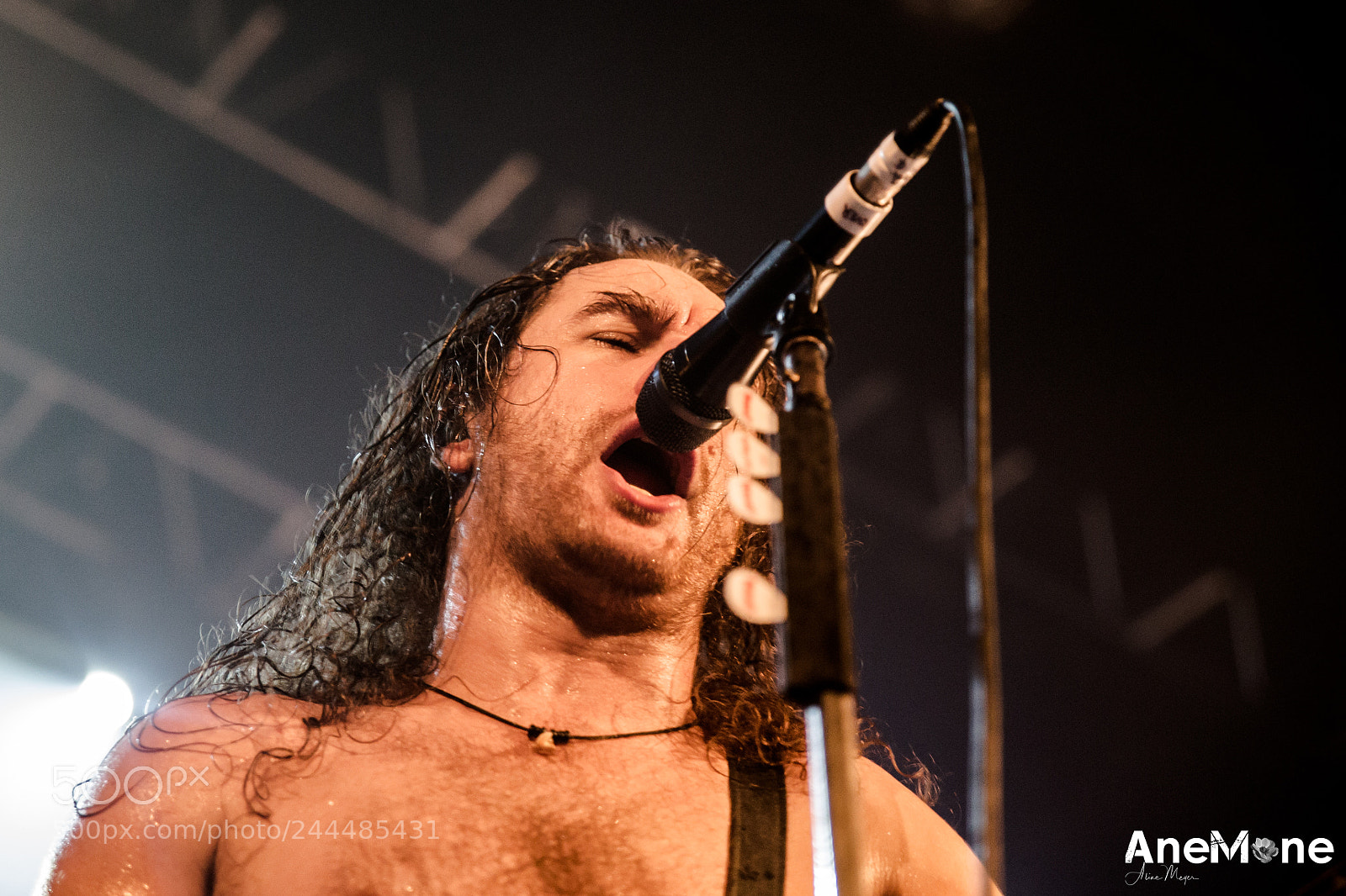 Canon EOS-1D X sample photo. Airbourne photography