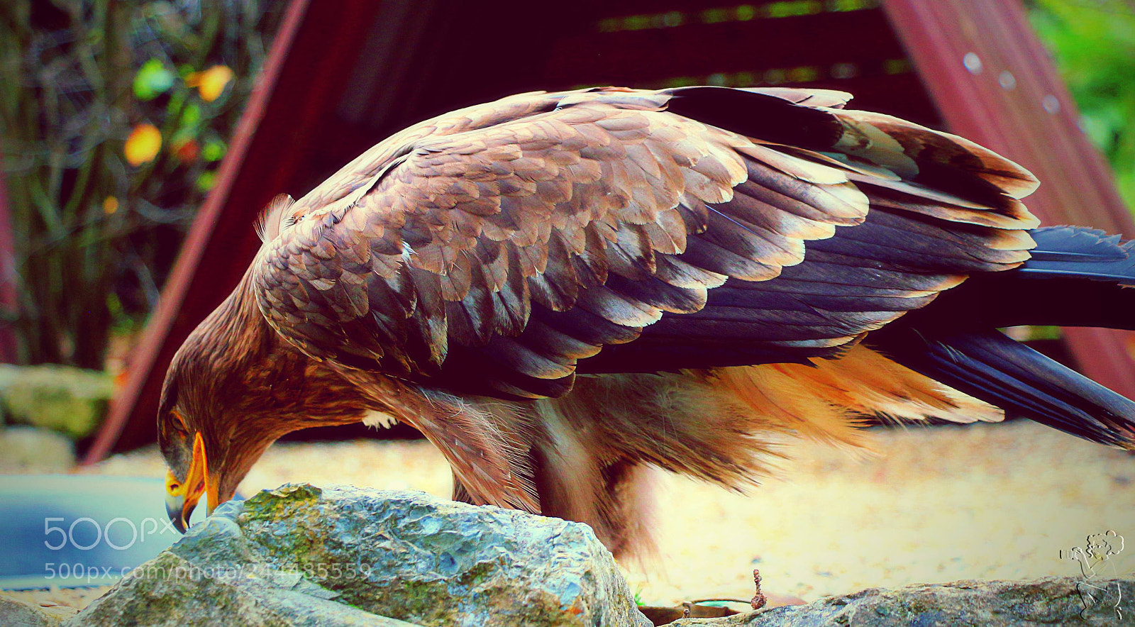 Canon EOS 650D (EOS Rebel T4i / EOS Kiss X6i) sample photo. "hab´dich" photography