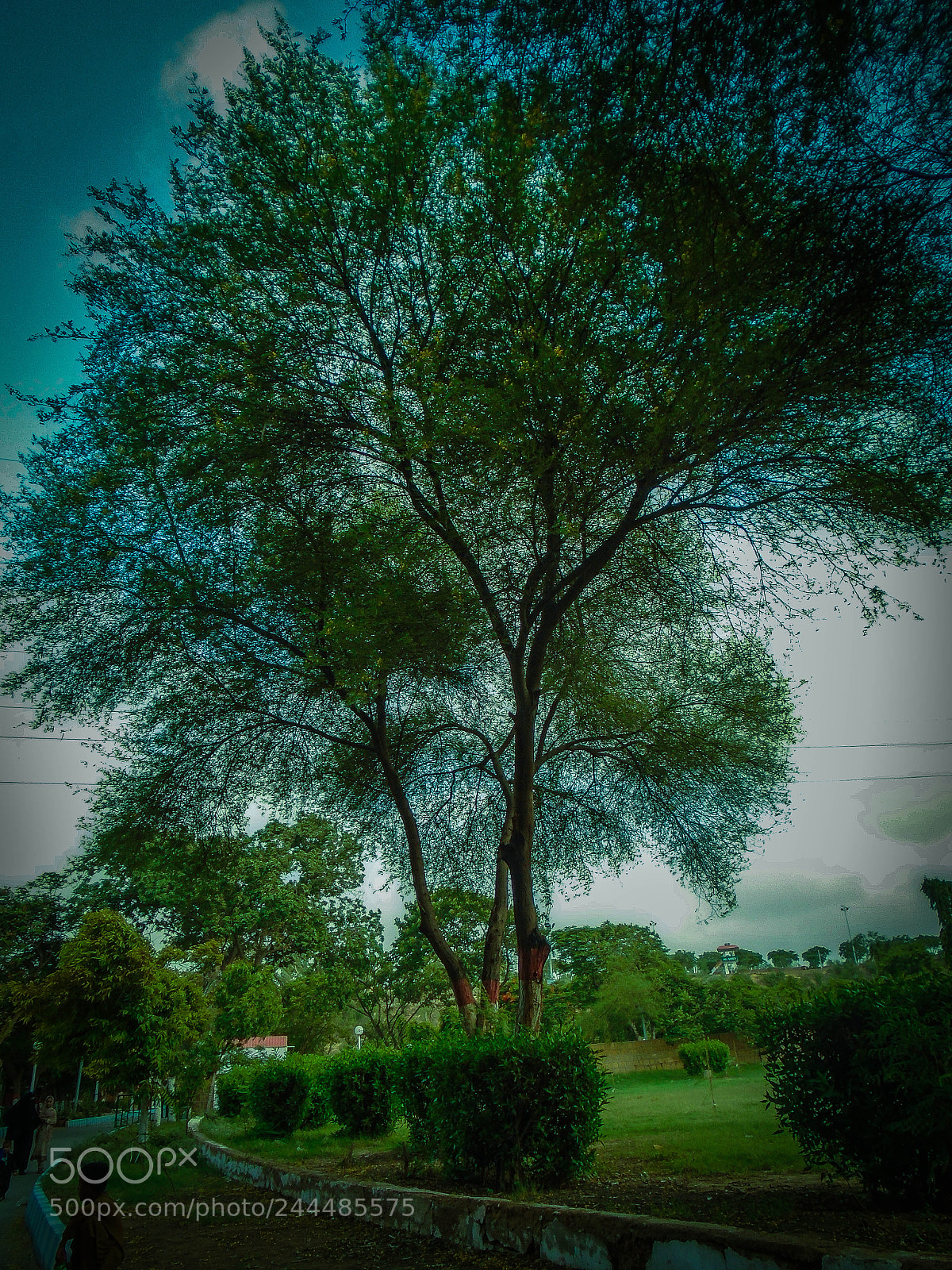 Sony Cyber-shot DSC-W800 sample photo. Nature with it's beauty photography