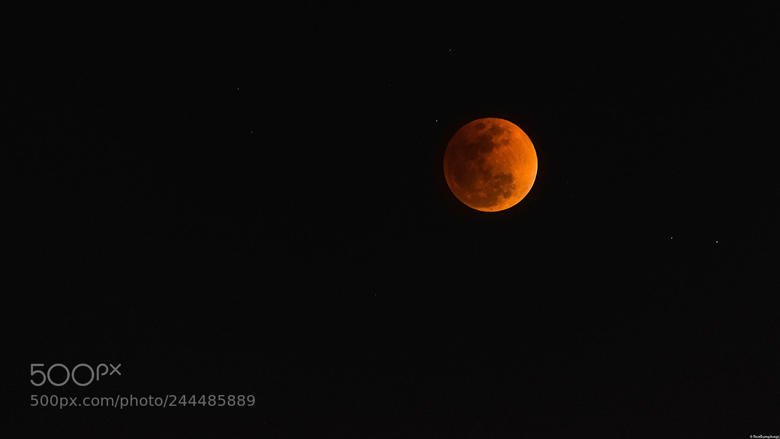 Nikon D810 sample photo. Blood moon photography