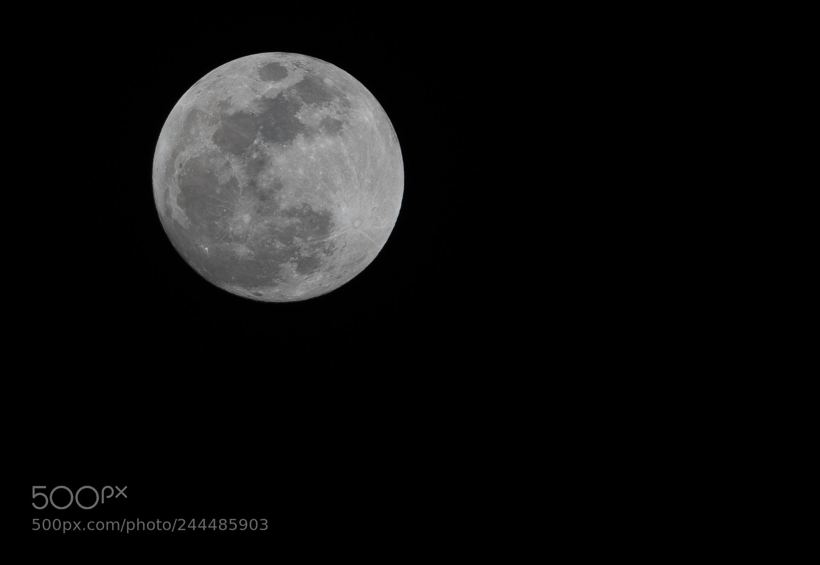 Nikon D810 sample photo. Super moon photography