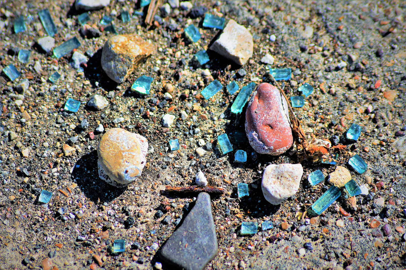 Sigma 70-300mm F4-5.6 APO DG Macro sample photo. Earth bits photography