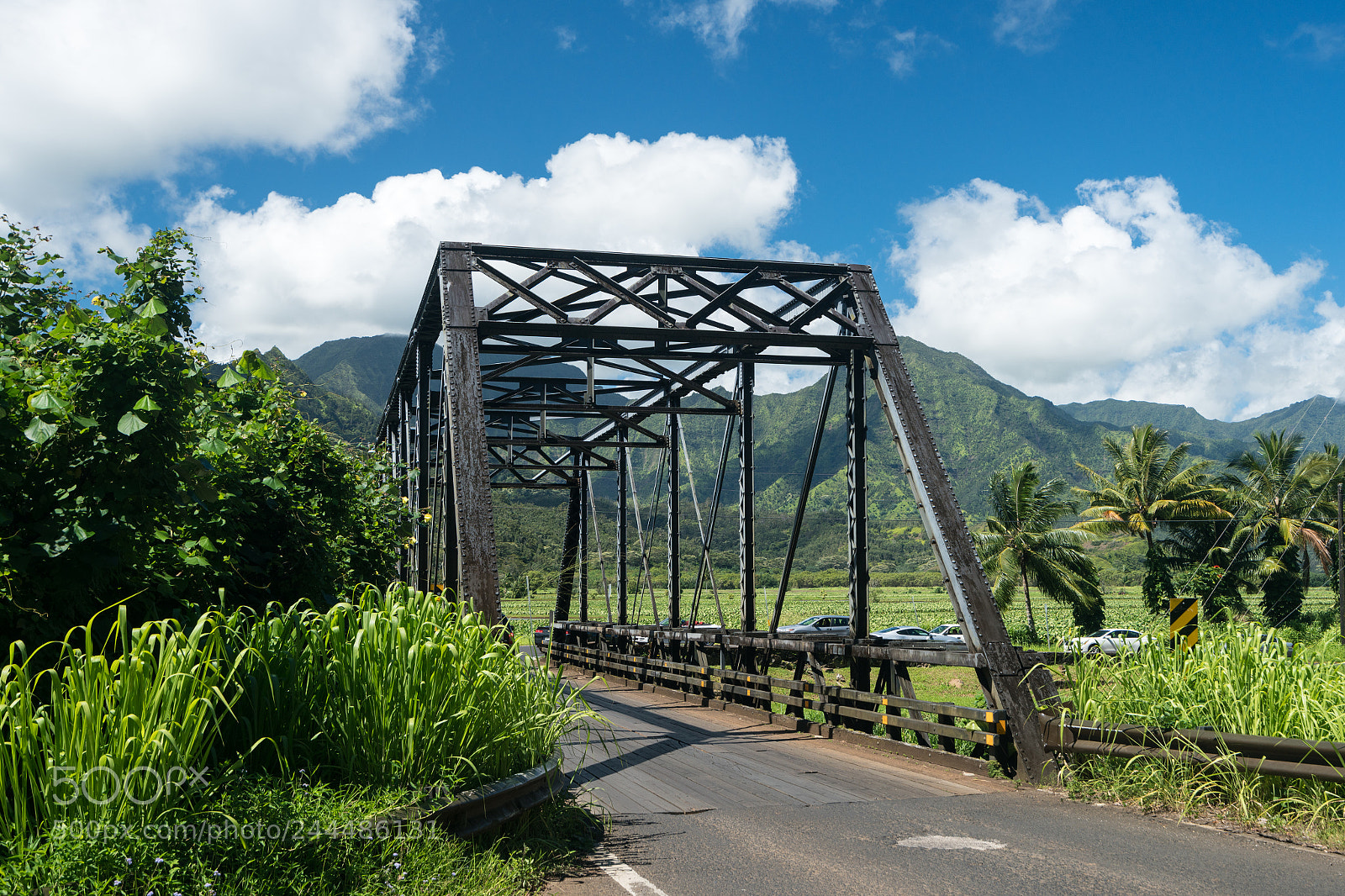 Sony a7R II sample photo. Old metal girder bridge photography