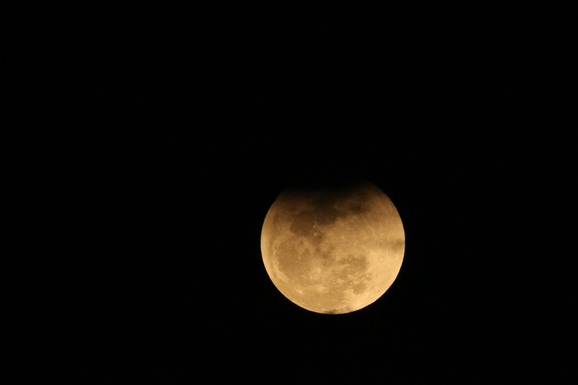 Sigma 150-600mm F5-6.3 DG OS HSM | C sample photo. Abu dhabi!!!! photography