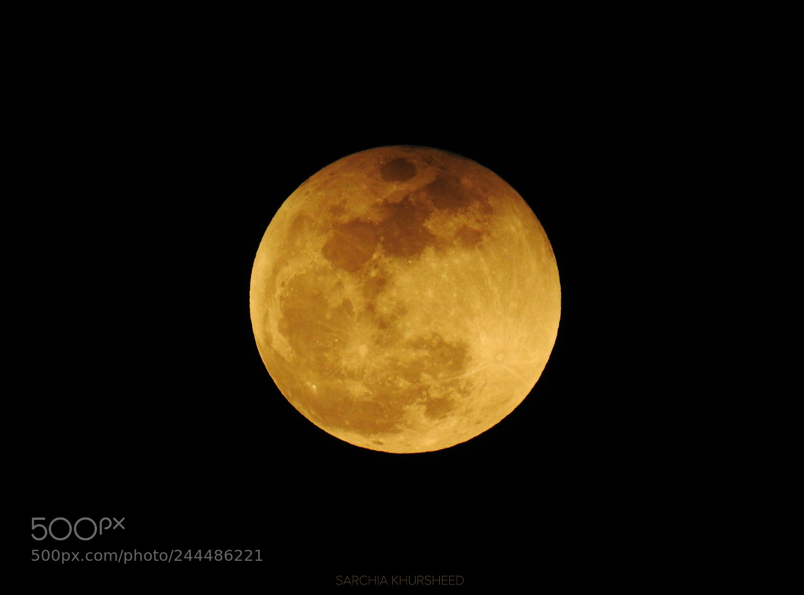 Nikon Coolpix P900 sample photo. Super blue blood moon photography